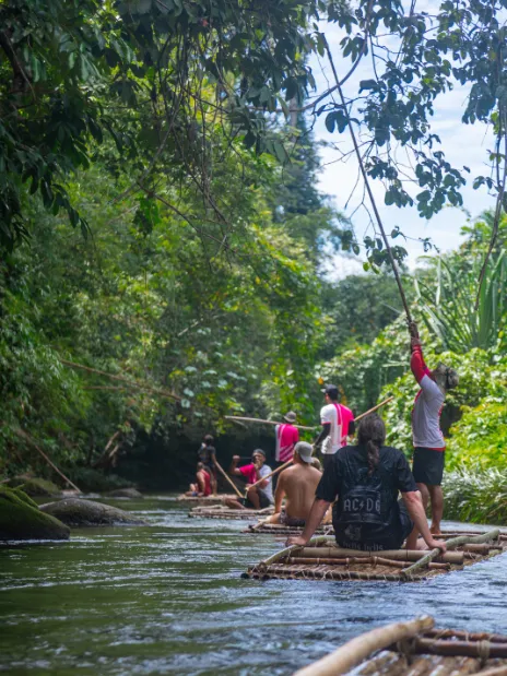 Khao Lak Eco-Safari: Elephants, Tsunami Museum, and Turtles