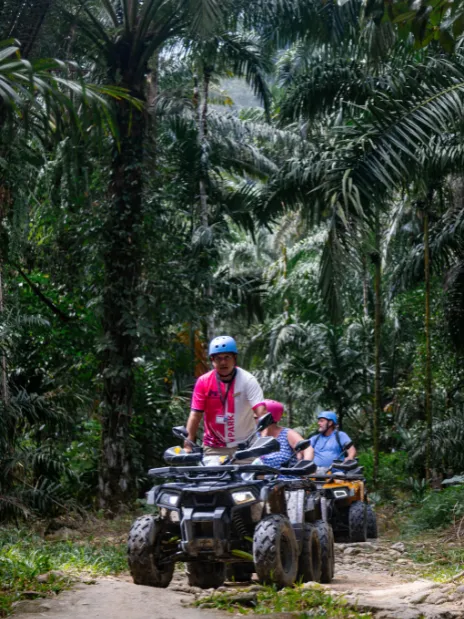 Khao Lak Eco-Safari: Elephants, Tsunami Museum, and Turtles