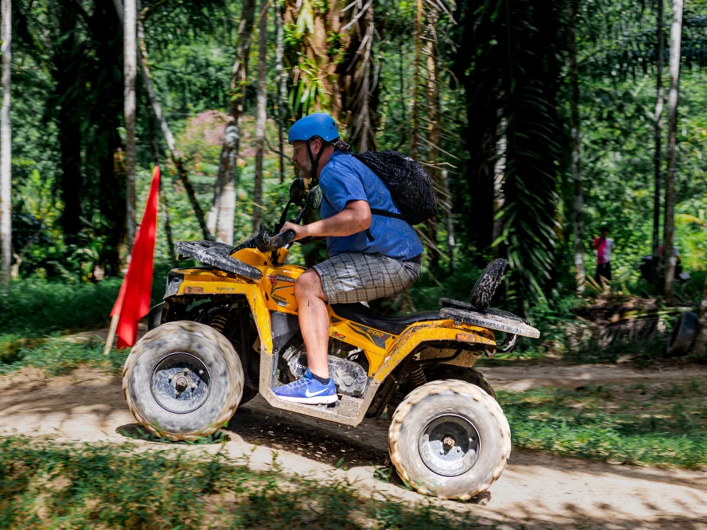 Guided Walk & Feed Elephant Experience